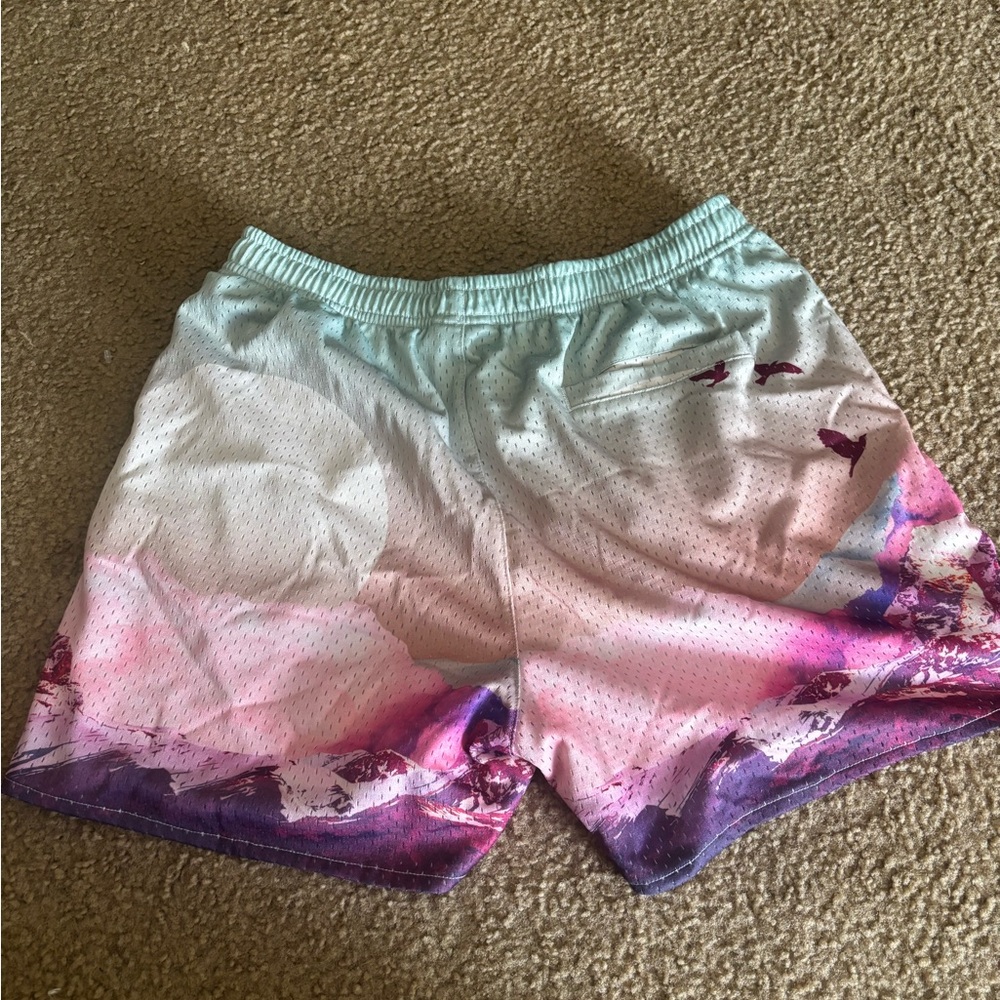 YoungLA Young LA Mens Shorts ~ Size Large The Block Party - Picture 4 of 6